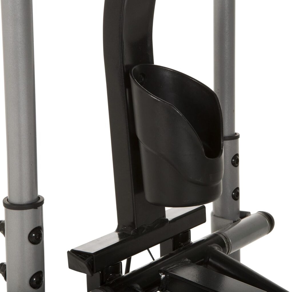 ProGear Dual Trainer Bike review